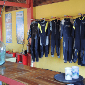 seaquest-dive-center-moalboal