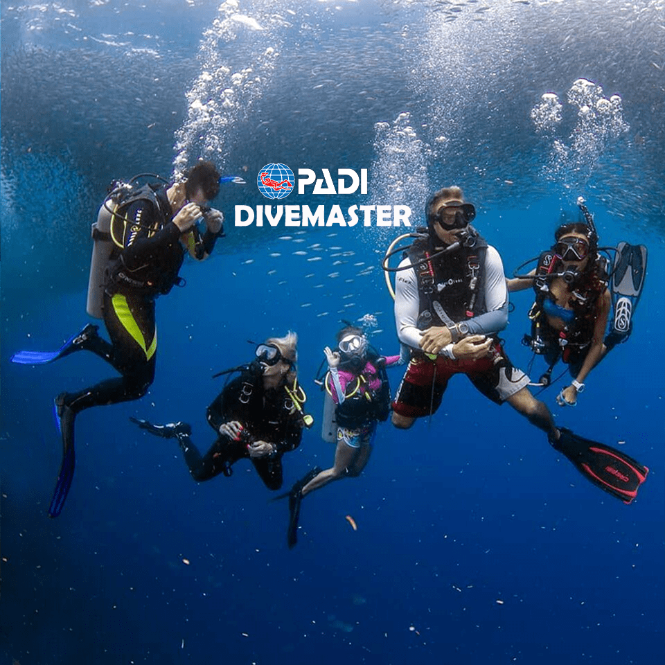 Divemaster