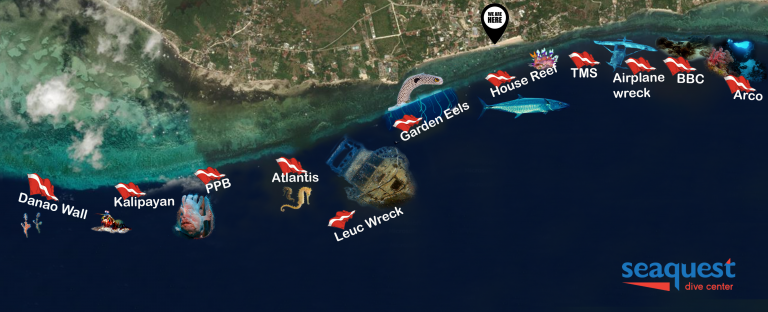 Dive map Alona